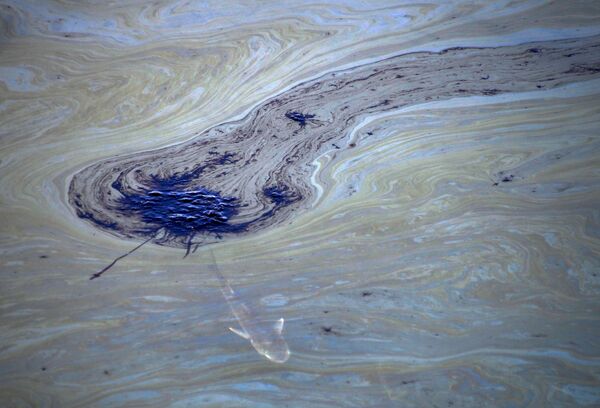 وضعیت نشت نفت در نزدیکی سواحل کالیفرنیا. - اسپوتنیک ایران  