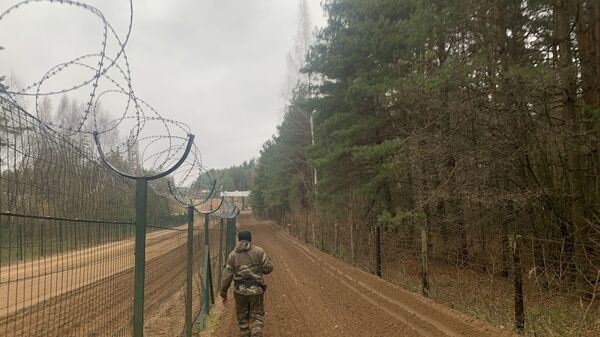 Пограничник на белорусско-польской границе - اسپوتنیک ایران  