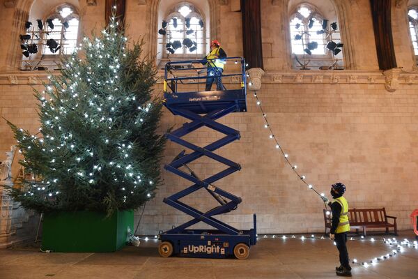 در گوشه و کنار دنیا، درخت های کاج برای جشن های میلادی کریسمس و سال نو تزیین شده اند.تزیینات سال نو و تزیین درخت کاج در لندن. - اسپوتنیک ایران  