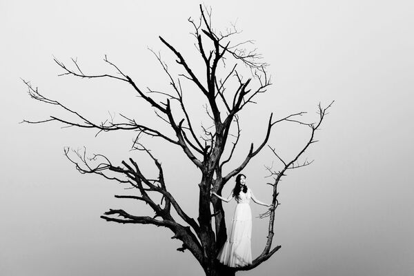 نمایش آثار عکاسان عروسی در سراسر جهان.شانسی زیبا در «گاردن روث». عروس در میان شاخه های زمستانی. - اسپوتنیک ایران  