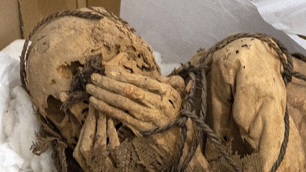 Обнаруженная мумия во время археологических раскопок в Перу  - اسپوتنیک ایران  