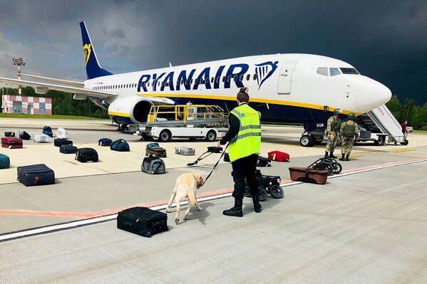 مهمترین رویدادهای سیاسی سال 2021 میلادی.پلیس همراه سگ در حال بازرسی بار هواپیما در فرودگاه بلاروس، پس از دریافت خبر بمب گذاری در هواپیما. بمبی یافت نشد. - اسپوتنیک ایران  