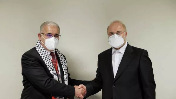 محمدباقر قالیباف  رئیس مجلس شورای اسلامی و ابراهیم بوغالی رئیس مجلس الجزایر  - اسپوتنیک ایران  