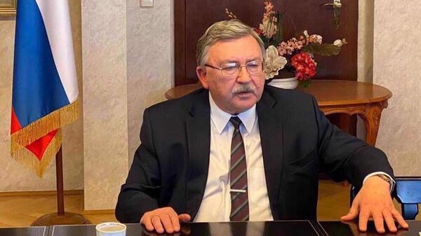 میخائیل اولیانوف نماینده دائم فدراسیون روسیه در سازمان‌های بین المللی در وین  - اسپوتنیک ایران  