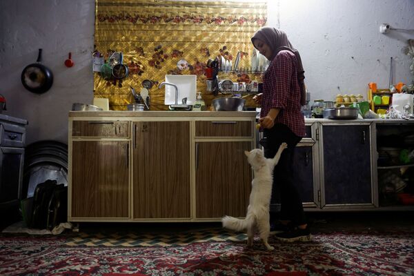 نور الجانبی، دختر عراقی 28 ساله در بغداد نجاری می کند. نور در حال غذا دادن به گربه اش. - اسپوتنیک ایران  