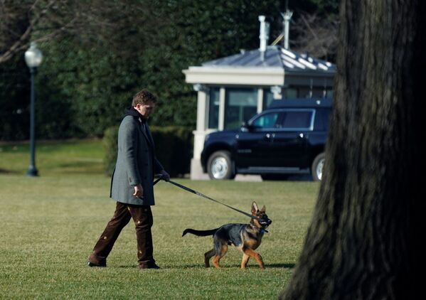 سگ ژرمن شپرد یکی دیگر از سگ های بایدن است که در کاخ سفید نگهداری می شود. - اسپوتنیک ایران  