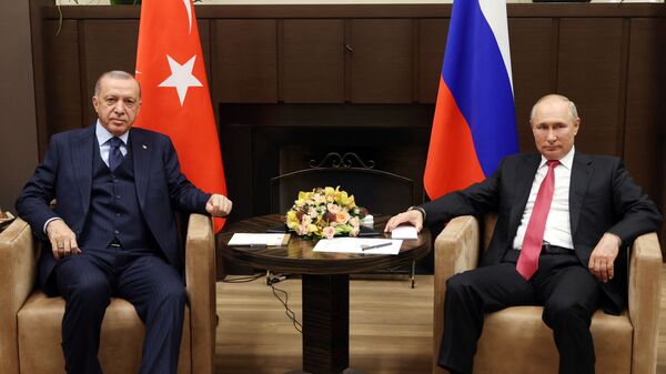 پوتین و اردوغان پیشنهادات روسیه در مورد تضمین های امنیتی را مورد بحث قراردادند - اسپوتنیک ایران  
