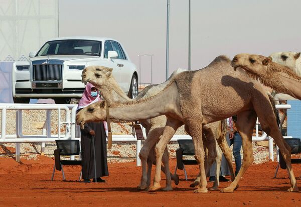 زنان عربستان سعودی که در چند سال اخیر تحولات زیادی را در زندگی اجتماعی خود تجربه کرده اند، اینک سوار بر اسب در مراسمی رژه رفتند که قبلا در انحصار مردان این کشور قرار داشت. - اسپوتنیک ایران  