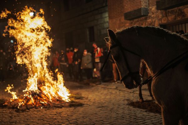 در جشنواره‌ای سنتی در اسپانیا، اسب‌ها را از میان آتش می‌گذرانند تا آنها را از بلایای سال جدید حفظ کنند. - اسپوتنیک ایران  