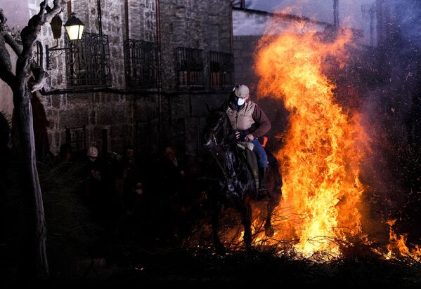 در آستانه روز سنت آنتونی (محافظ حیوانات) صدها سوارکار در اسپانیا اسب‌هایشان را از میان آتش عبور دادند.    در جشنواره‌ سنتی در اسپانیا، اسب‌ها را از میان آتش می‌گذرانند تا آنها را از بلایای سال جدید حفظ کنند.    پیشینه این جشنواره سنتی به قرن هجدهم باز می‌گردد که مردم معتقد بودند اسب‌ها هنگام عبور از آتش پاکیزه می‌شوند و در سال آینده از بلایا ایمن خواهند شد.   این مراسم با به صدا در آمدن زنگ‌های کلیسا آغاز می‌شود و کشیش در این مراسم دعا می‌خواهد. - اسپوتنیک ایران  