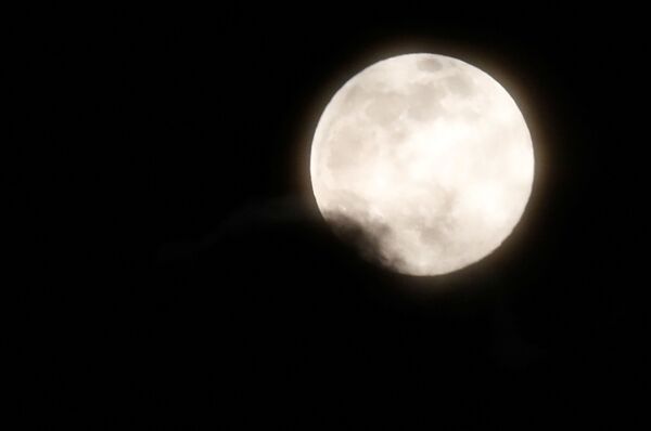 ماه کامل که گاهی اوقات به عنوان &quot;ماه گرگ&quot; شناخته می شود. آلبانی. - اسپوتنیک ایران  