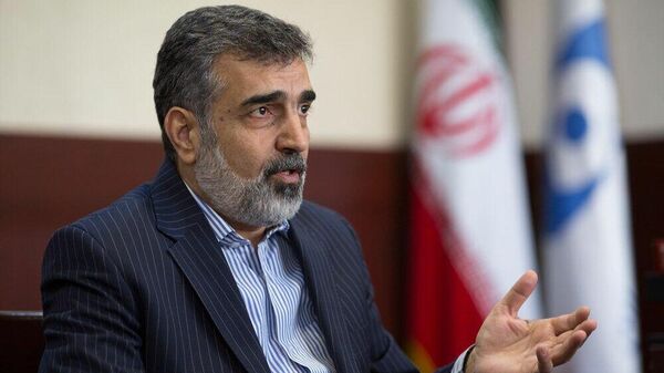 بهروز کمالوندی، سخنگوی سازمان انرژی اتمی ایران  - اسپوتنیک ایران  