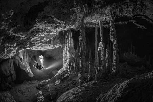 برندگان و فینالیست های مسابقه عکاسی زیرآبی 2021 اعلام شدند.غواصی در غار در Cenote Zacil Ha. - اسپوتنیک ایران  