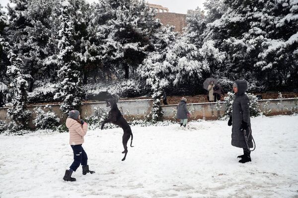 دختری با سگش در خیابان پوشیده از برف آرئوپاگیتو در زیر محوطه باستانی تپه آکروپولیس در هنگام بارش برف سنگین در آتن، یونان، ۲۴ ژانویه ۲۰۲۲، بازی می‌کند. - اسپوتنیک ایران  