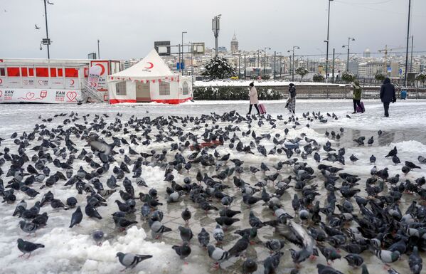 بارش برف در استانبول ترکیه - اسپوتنیک ایران  
