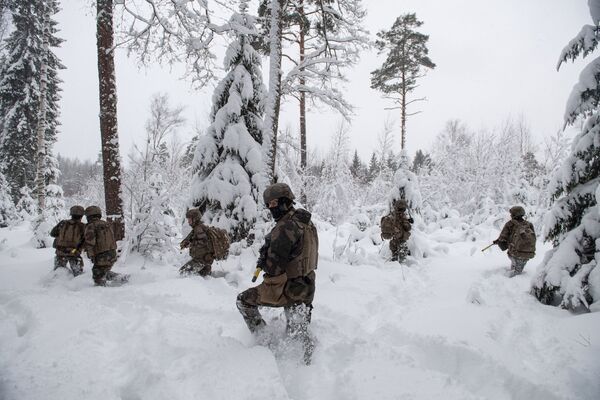 این رزمایش در یک محدوده نظامی در منطقه تاپا در استونی جریان دارد و درمجموع بیش از ۱۴۰۰ نیروی نظامی در آن شرکت دارند. - اسپوتنیک ایران  