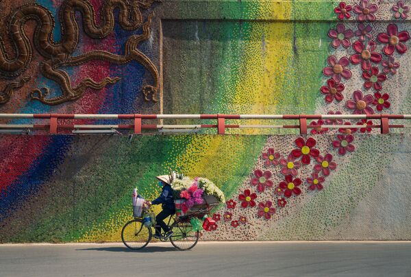 منتخب عکس های شرکت کننده در مسابقه عکاسی سونی 2022 اعلام شدند.عکاس، Thanh Nguyen Phuc, از ویتنام. دوچرخه و دنباله گلی. - اسپوتنیک ایران  