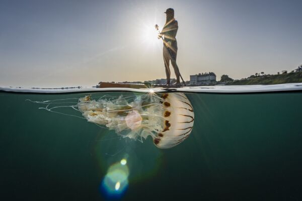برندگان و عکس‌های برتر مسابقه &quot;عکاسی دنیای زیر آب&quot;سال 2022 معرفی شده‌اند.عکاس، لویز مایکل از بریتانیا، همزیستی صلح‌آمیز. - اسپوتنیک ایران  