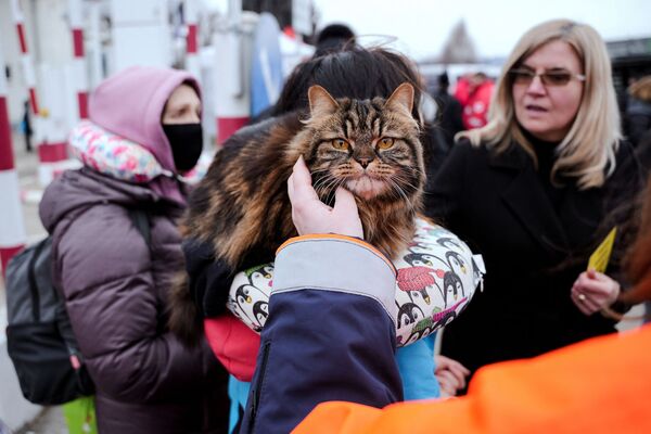ساکنان اوکراین هنگام ورود به کشورهای دیگر، حیوانات خانگی خود را نیز همراه می‌برند.ورود پناهجوی اوکرائینی با گربه اش به رومانی. - اسپوتنیک ایران  