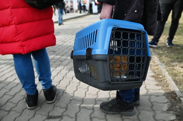 ساکنان اوکراین هنگام ورود به کشورهای دیگر، حیوانات خانگی خود را نیز همراه می‌برند.مرز اوکراین- لهستان. - اسپوتنیک ایران  