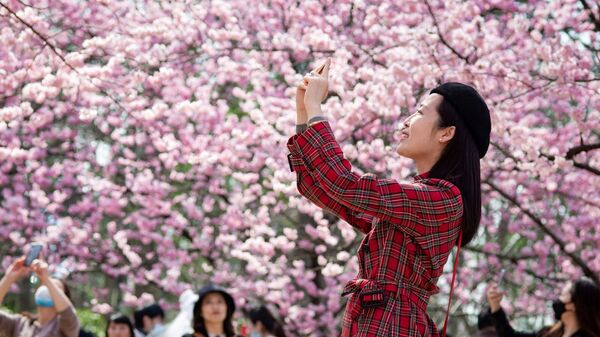 Девушка фотографирует цветущую вишню в китайском городе Нанкин - اسپوتنیک ایران  