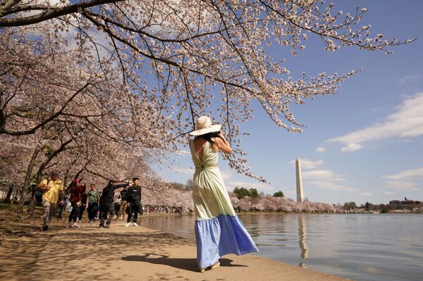 بهار در کشورهای مختلف جهان طبیعت را رنگ زده است. پارک «گیلاس» واشنگتن. - اسپوتنیک ایران  