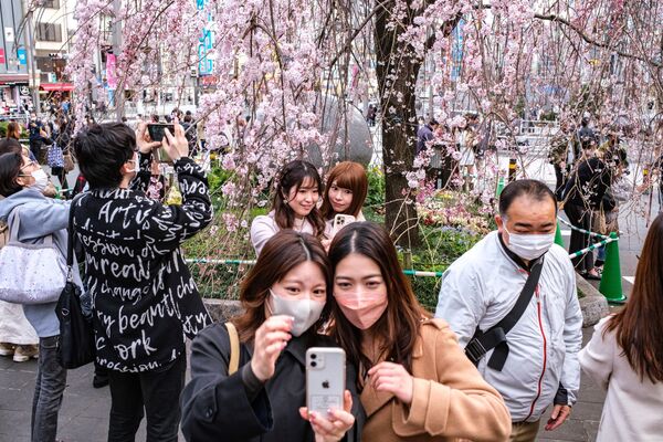 بهار در کشورهای مختلف جهان طبیعت را رنگ زده است. توکیو. - اسپوتنیک ایران  