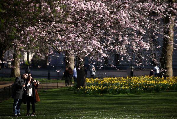 بهار در کشورهای مختلف جهان طبیعت را رنگ زده است. پارک لندن. - اسپوتنیک ایران  
