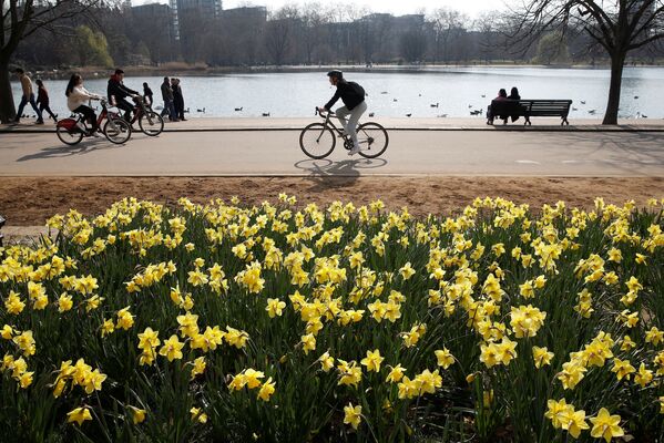 بهار در کشورهای مختلف جهان طبیعت را رنگ زده است. هاید پارک لندن. - اسپوتنیک ایران  