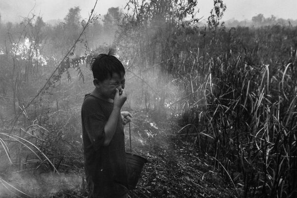 برندگان منطقه ای مسابقه عکس مطبوعاتی جهانی 2022 میلادی.عکاس، آبریانسیا لیبرتو از اندونزی. پسربچه در میان دود. - اسپوتنیک ایران  