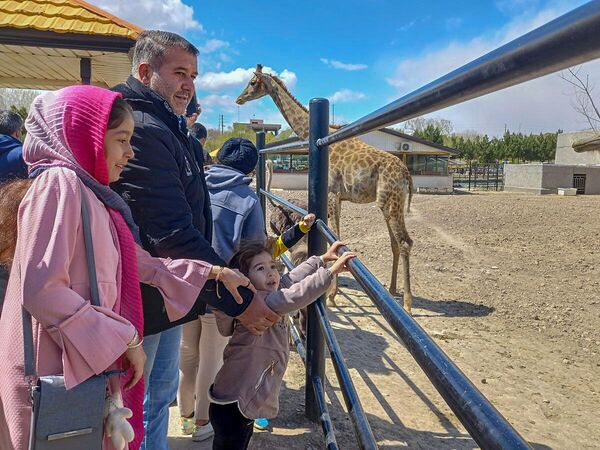 باغ وحش در روزهای آغازین سال - اسپوتنیک ایران  