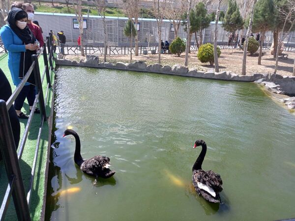 باغ وحش در حومه پایتخت ایران - اسپوتنیک ایران  