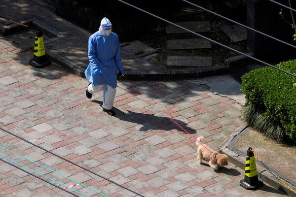 گردش با سگ در لباس ایمنی در محله ای در شانگهای. - اسپوتنیک ایران  