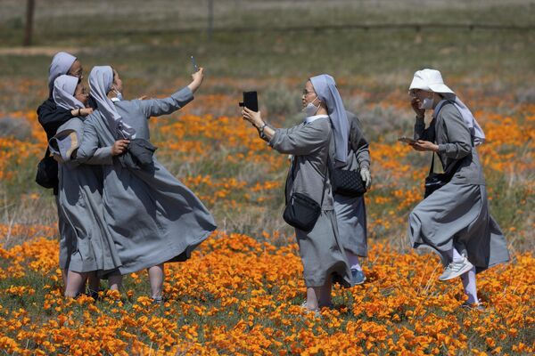 رویدادهای هفته به روایت تصویر.راهبه ها در دشت گل کالیفرنیا. - اسپوتنیک ایران  