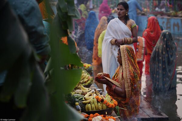 برندگان مسابقه عکاسی بانوی صورتی غذا در سال ۲۰۲۲ اعلام شدند.عکاس ایندیگو لارمور از هند. - اسپوتنیک ایران  