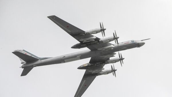 چرا آمریکا از بمب افکن  Tu-95MS یا خرس روسیه می ترسد؟  - اسپوتنیک ایران  