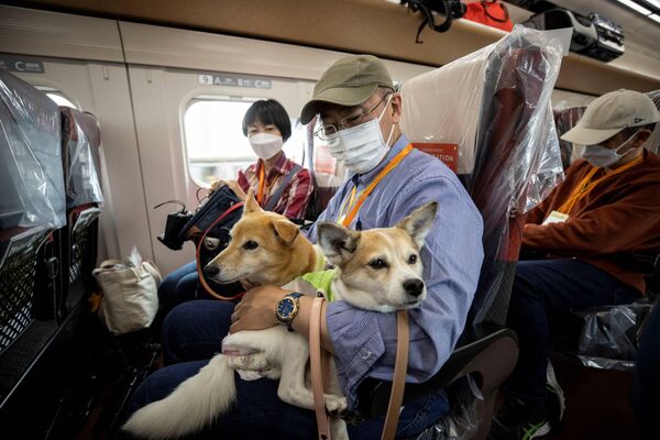روز 21 ماه مه، مسافران با سگ های خود سوار قطار سریع السیر شینکانسن شدند تا طی یک سواری یک ساعته از توکیو به شهر تفریحی Karuizawa برسند.ما را چه سفت به خودش چسبانده است. - اسپوتنیک ایران  