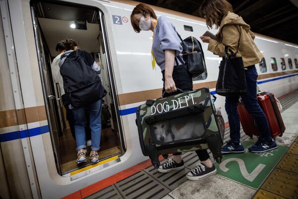 روز 21 ماه مه، مسافران با سگ های خود سوار قطار سریع السیر شینکانسن شدند تا طی یک سواری یک ساعته از توکیو به شهر تفریحی Karuizawa برسند. - اسپوتنیک ایران  