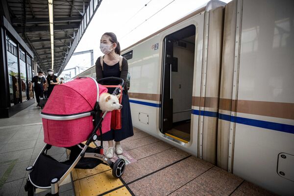 روز 21 ماه مه، مسافران با سگ های خود سوار قطار سریع السیر شینکانسن شدند تا طی یک سواری یک ساعته از توکیو به شهر تفریحی Karuizawa برسند.بالاخره رسیدیم. - اسپوتنیک ایران  