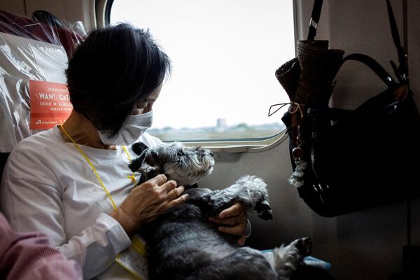 روز 21 ماه مه، مسافران با سگ های خود سوار قطار سریع السیر شینکانسن شدند تا طی یک سواری یک ساعته از توکیو به شهر تفریحی Karuizawa برسند.آه چه لذتی داره، سواری با قطار سریع السیر. - اسپوتنیک ایران  