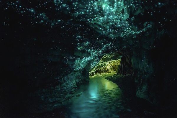 سفر تصویری اسپوتنیک به دنیای نور در تاریکی.غارهای کرم شب تاب Waitomo در جزیره شمالی نیوزلند. - اسپوتنیک ایران  