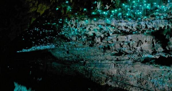 سفر تصویری اسپوتنیک به دنیای نور در تاریکی.غار کرم درخشان Te Anau در نیوزیلند. - اسپوتنیک ایران  