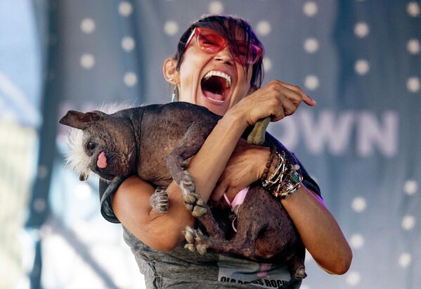 جندا بنالی در حالی جشن می گیرد که سگش Mr. Happy Face در مسابقه زشت ترین سگ جهان در پتالوما، کالیفرنیا در ۲۴ ژوئن ۲۰۲۲ برنده شد. -Mr. Happy Face، یک سگ چینی ۱۷ ساله، برنده مسابقه شد و ۱۵۰۰ دلار به خانه برد. - اسپوتنیک ایران  