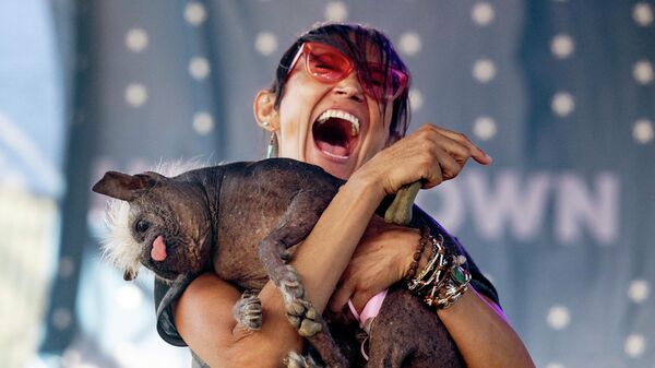 برنده مسابقه زشت ترین سگ جهان به اسم Mr. Happy Face  با صاحب خود در پتالوما آمریکا - اسپوتنیک ایران  