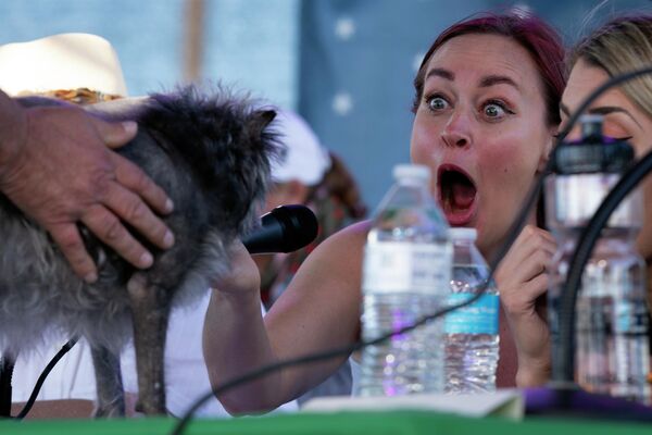 قاضی مامری هارت به مانکی، سگی از Pleasant Hill، کالیفرنیا، در مسابقه زشت ترین سگ جهان، جمعه، 24 ژوئن 2022، در پتالوما، کالیفرنیا، واکنش نشان می دهد. - اسپوتنیک ایران  
