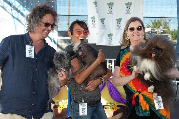 اسکاچ هیلی از Pleasant Hill، کالیفرنیا، از سمت چپ، با سگش مانکی، جندا بنالی از Flagstaff، Ariz با سگش Mr. Happy Face، و Ann Lewis از Coos Bay، Ore، با سگش Wild Thing هستند. برندگان مسابقه زشت ترین سگ جهان 2022، جمعه، 24 ژوئن 2022، در پتالوما، کالیفرنیا. - اسپوتنیک ایران  