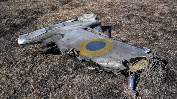سوخو-۲۵ اوکراینی در نزدیکی خرسون توسط جنگنده روسی منهدم شد - اسپوتنیک ایران  
