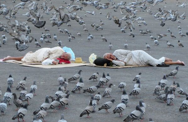 رویدادهای هفته از نگاه تصویر.استراحت زائران در بین کبوترها در نزدیکی مکه. - اسپوتنیک ایران  