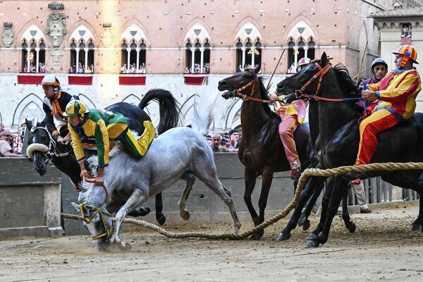 رویدادهای هفته از نگاه تصویر.افتادن اسب سوار ایتالیا در مسابقه در «سینا». - اسپوتنیک ایران  