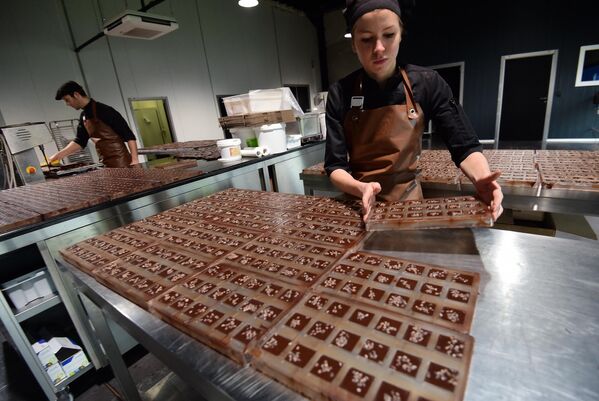 کارگران در کارخانه شکلات سازی Benoit Nihant در Awans شکلات تولید می کنند. - اسپوتنیک ایران  